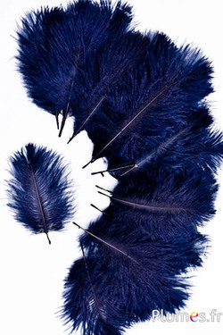 Struzzo Bellies - 8-13 cm - blu notte-nero